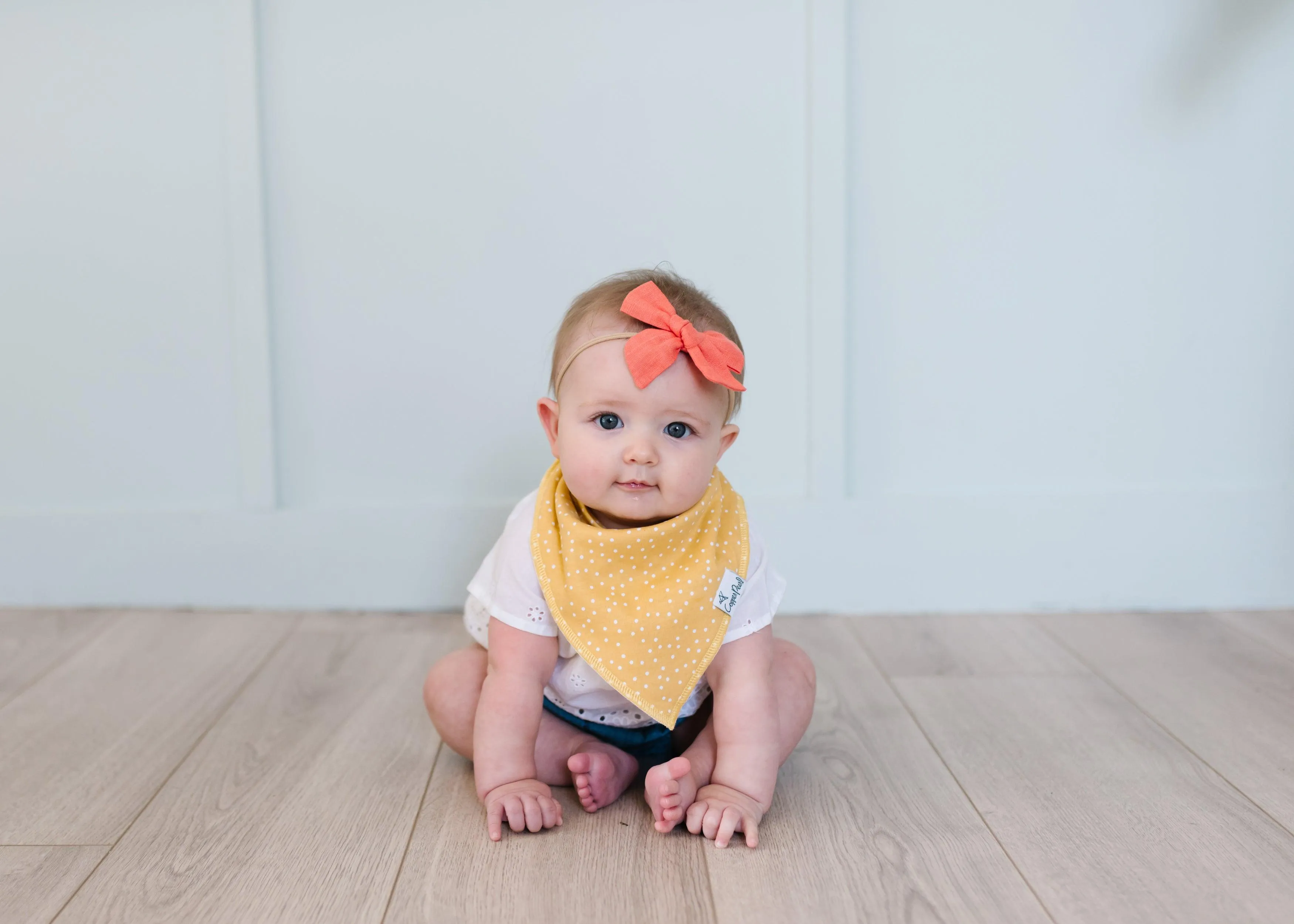 Baby Bandana Bibs - Hope