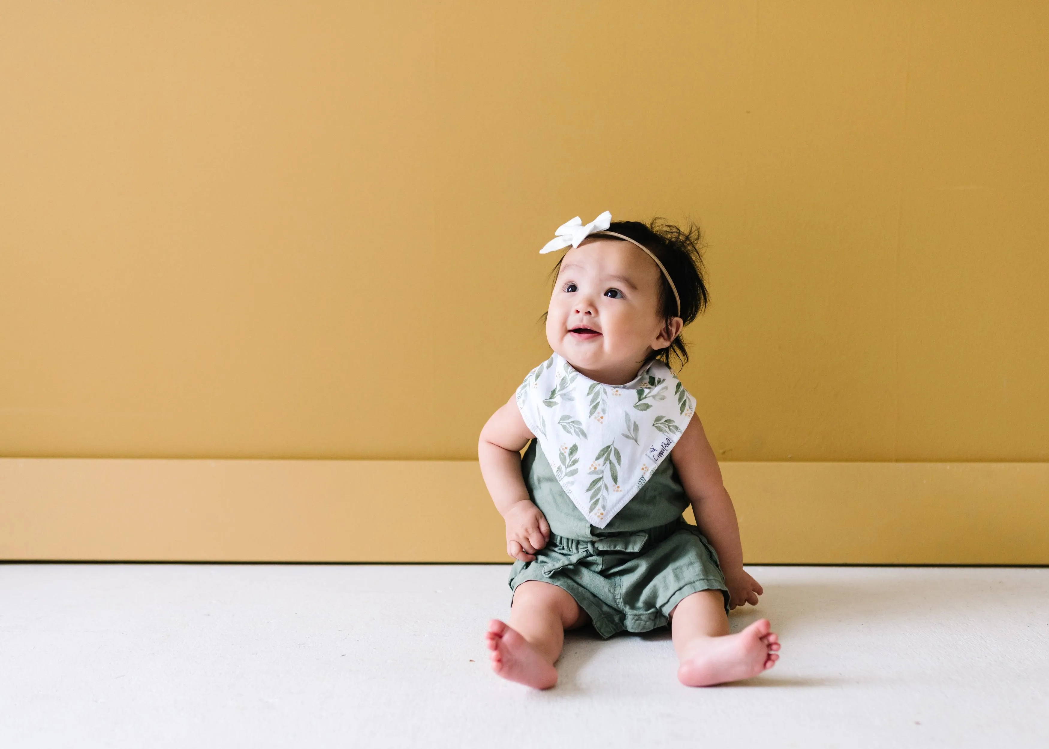 Baby Bandana Bibs - Hope