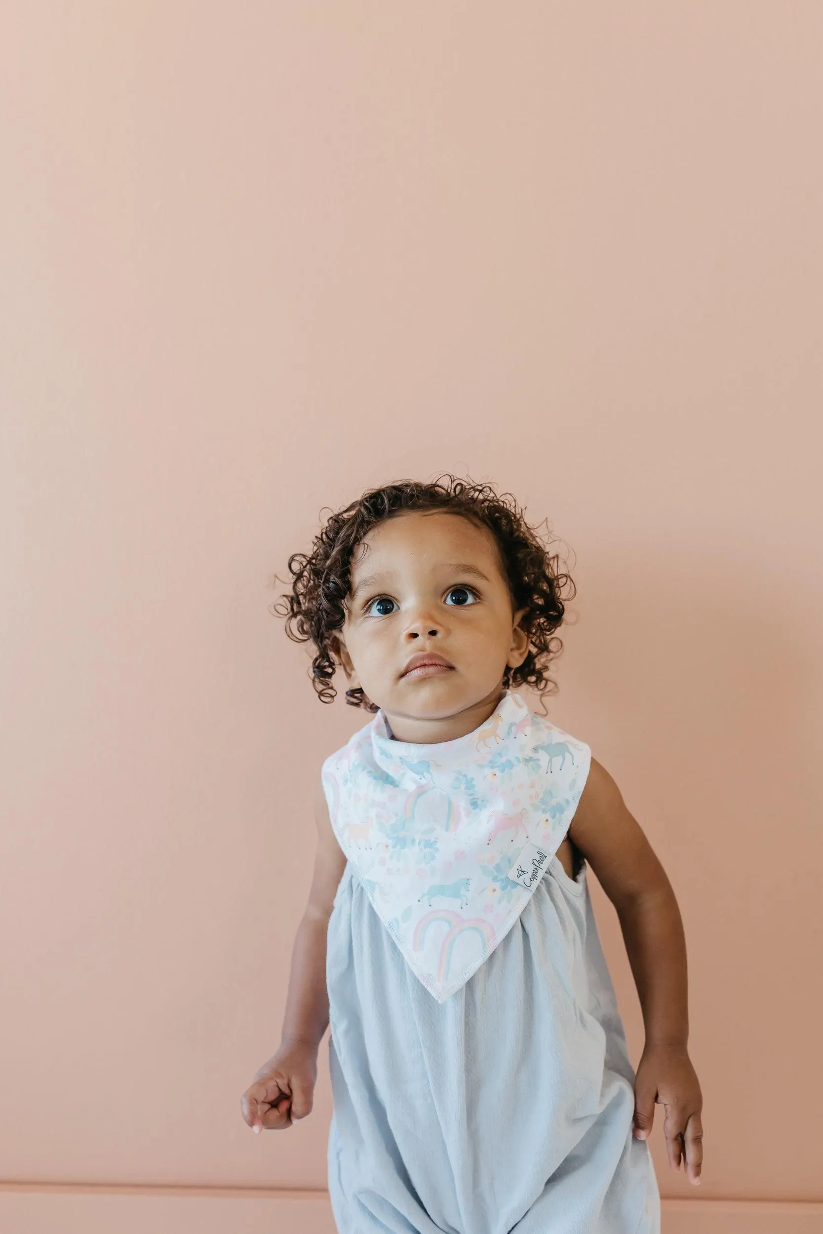 Baby Bandana Bibs - Whimsy