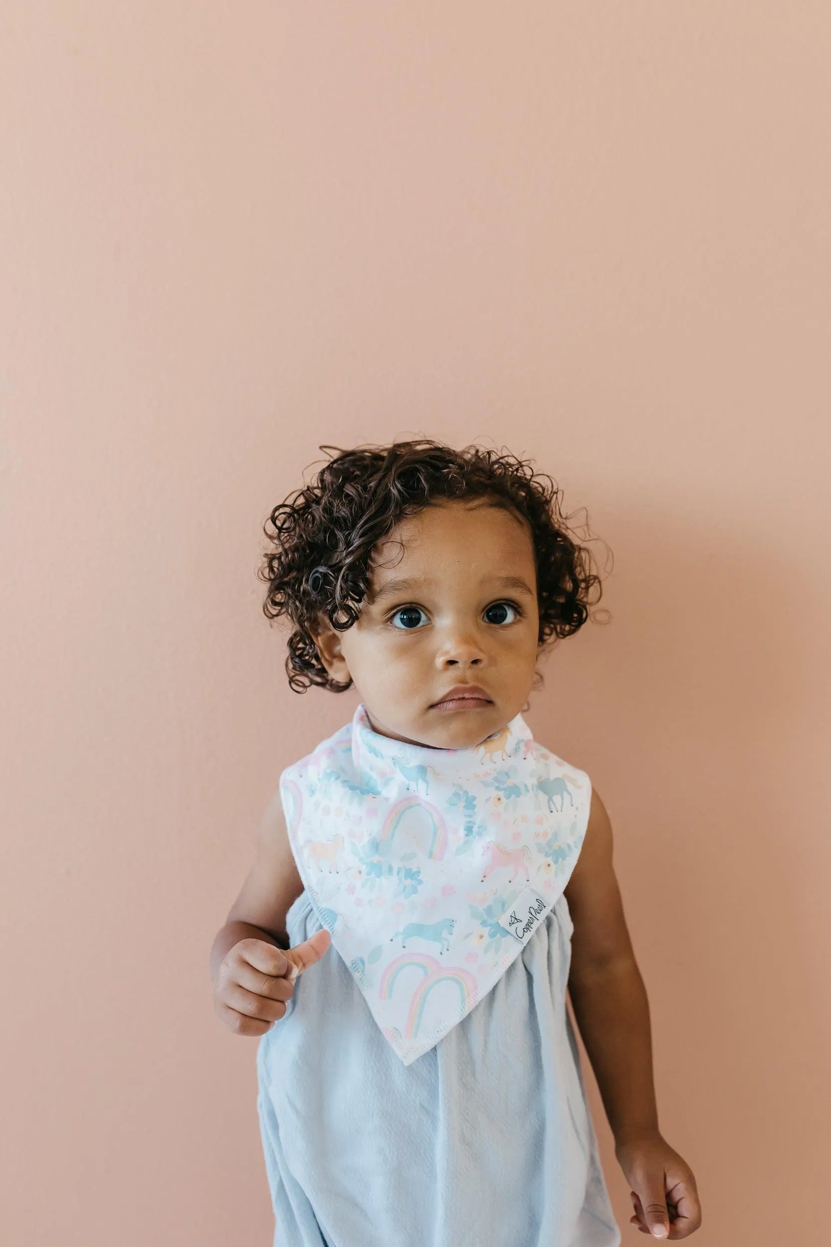 Baby Bandana Bibs - Whimsy