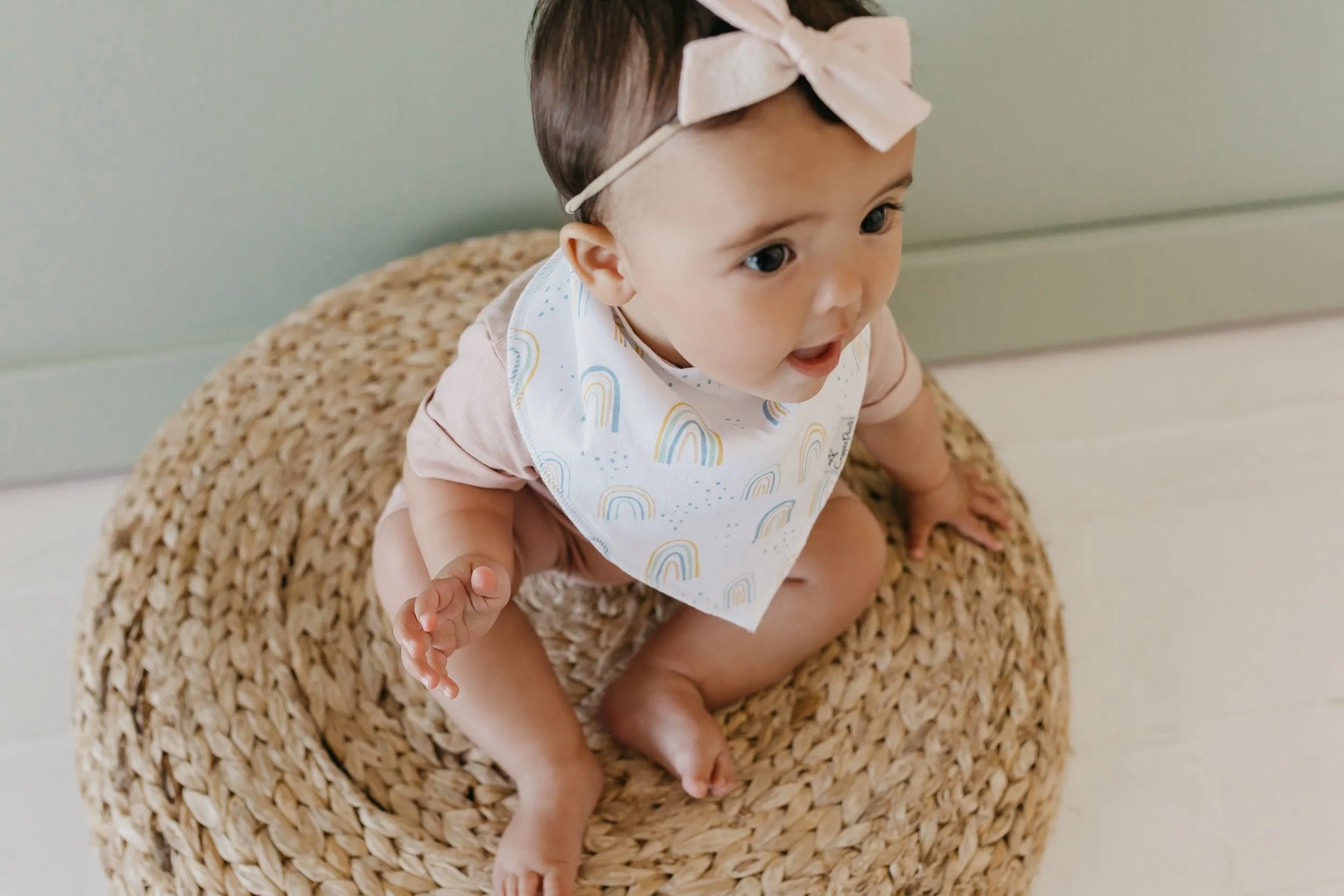 Baby Bandana Bibs - Whimsy