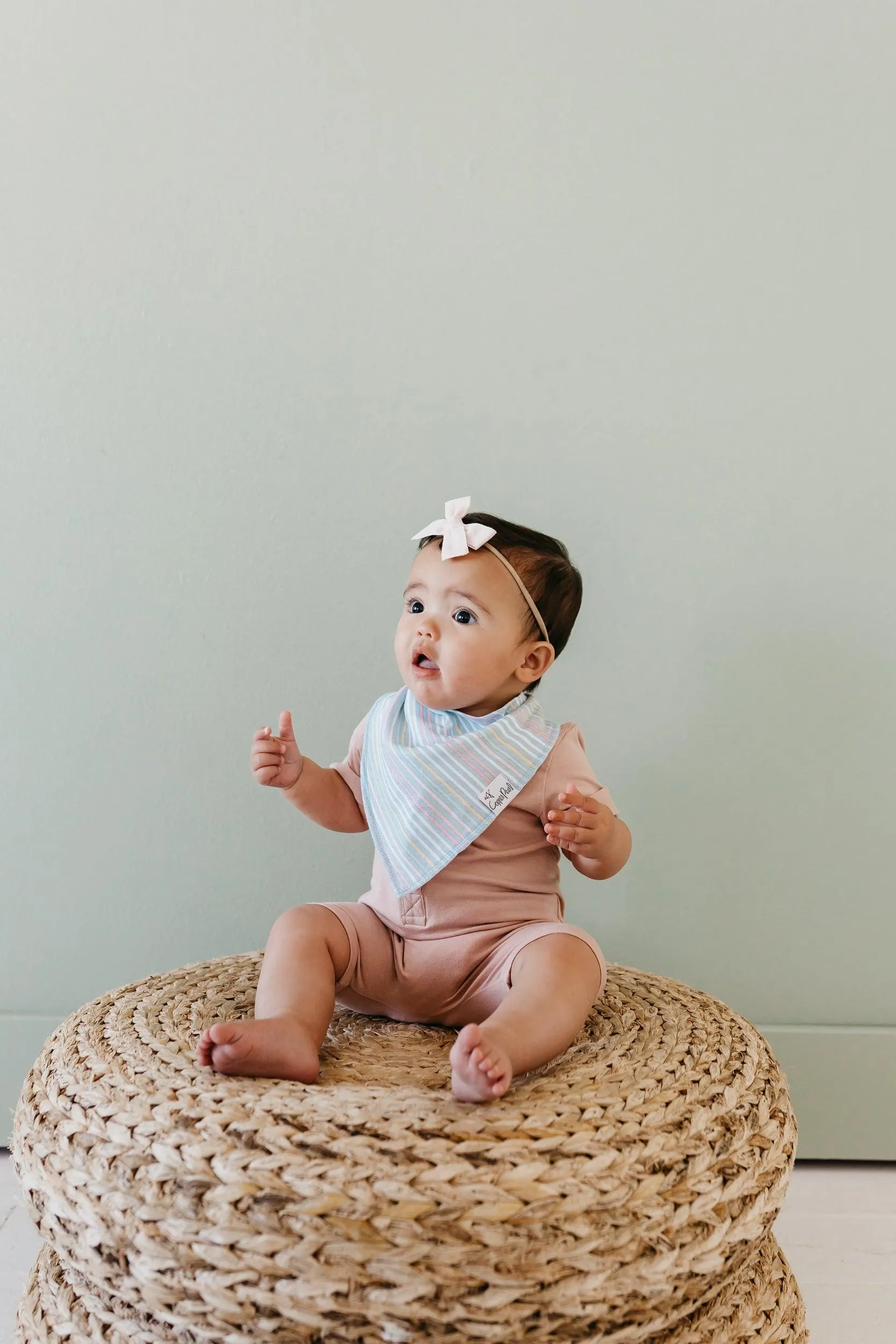 Baby Bandana Bibs - Whimsy