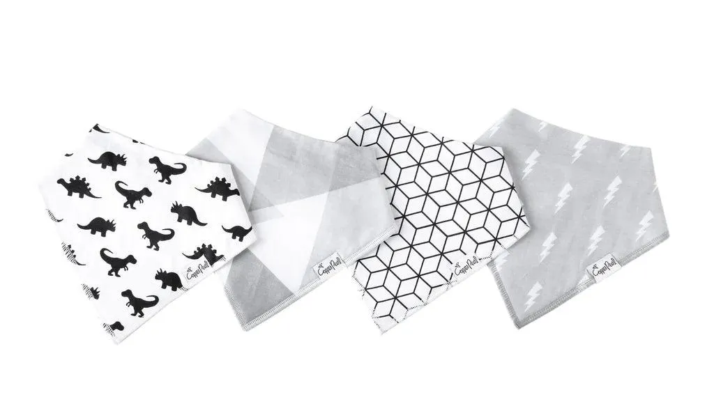 Baby Bandana Bibs - Wild