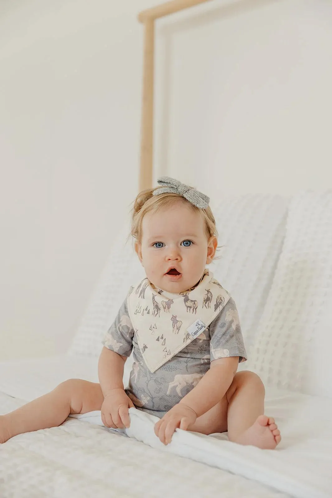 Bandana Bib Set - Timber