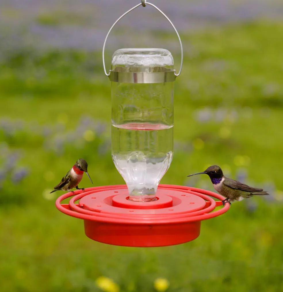 Best-1 Hummingbird Feeder 8 oz.