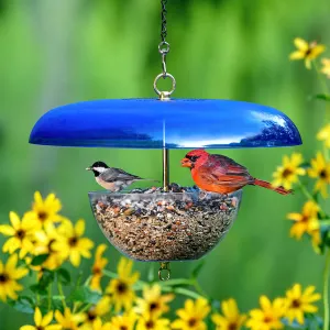 Duncraft Cardinal Feeder with Blue Baffle--Made in the USA