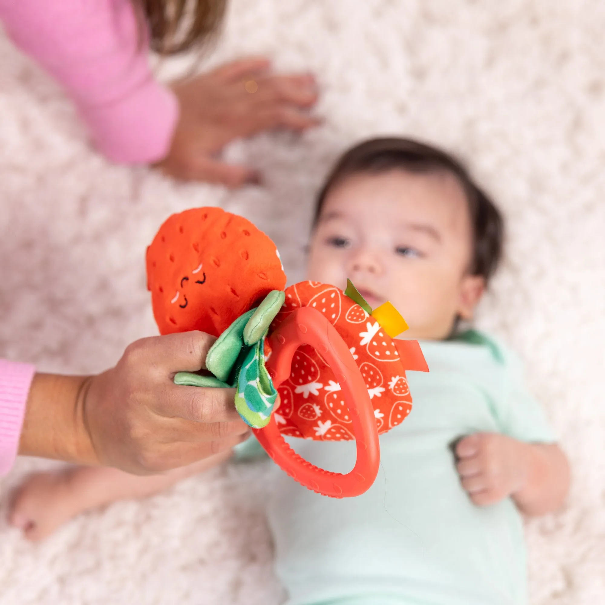 Peek-a-Boo Berry Take-Along Toy